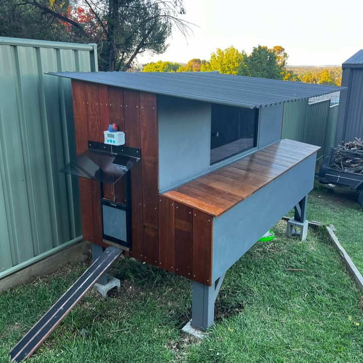 Modern chicken coop with a Safe Coop® automatic chicken door installed.