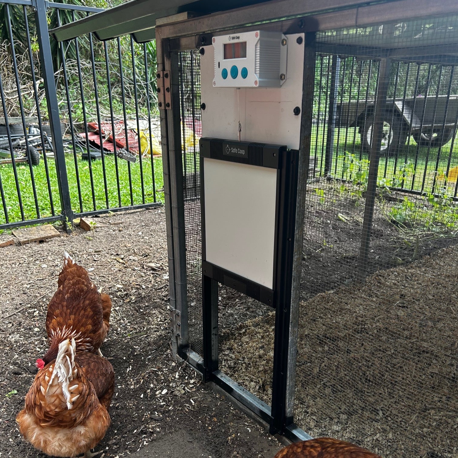 Safe Coop® automatic chicken door installed on a large wire mesh chicken cage.